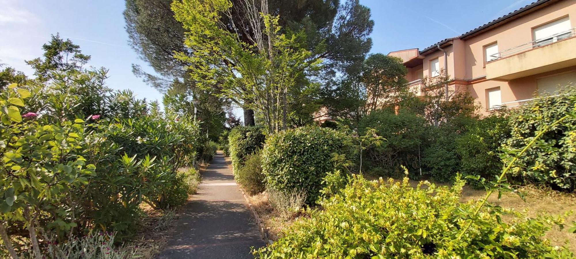 Les Elfes - Avec Entree Autonome, Clim Neuve, Jardin, Parking Prive & Gourmandises Offertes ! - Lejlighed Toulouse Eksteriør billede