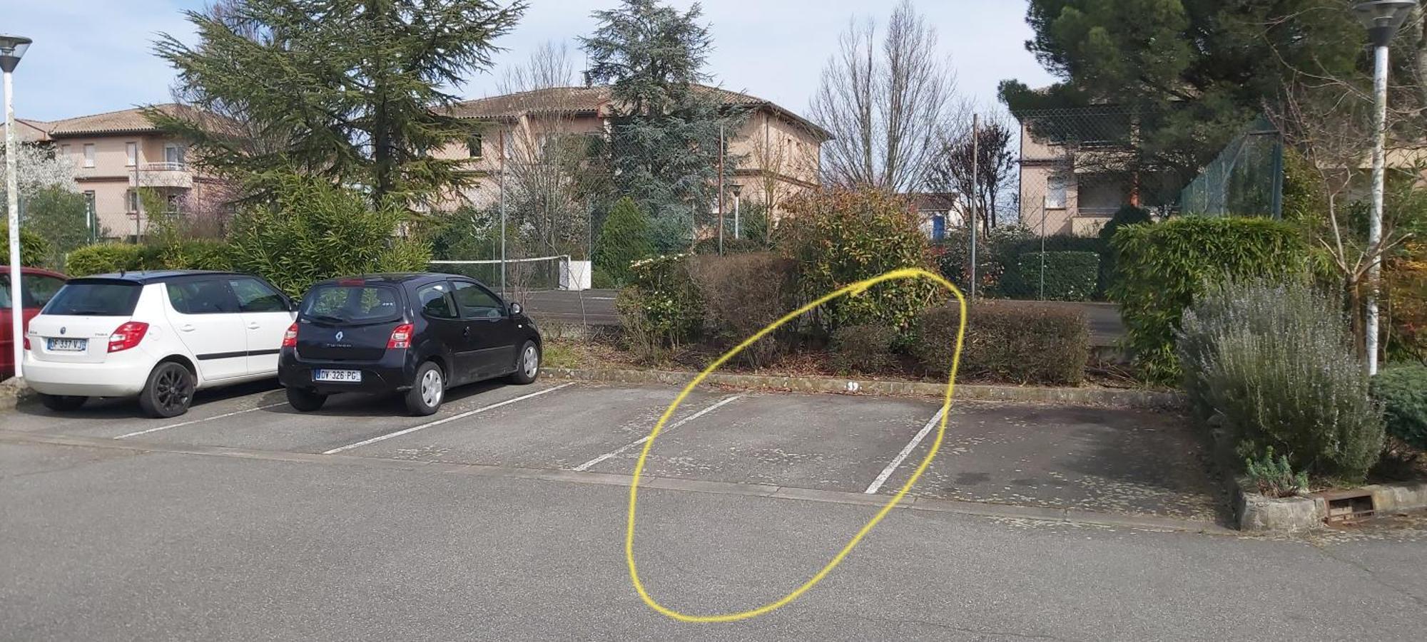 Les Elfes - Avec Entree Autonome, Clim Neuve, Jardin, Parking Prive & Gourmandises Offertes ! - Lejlighed Toulouse Eksteriør billede