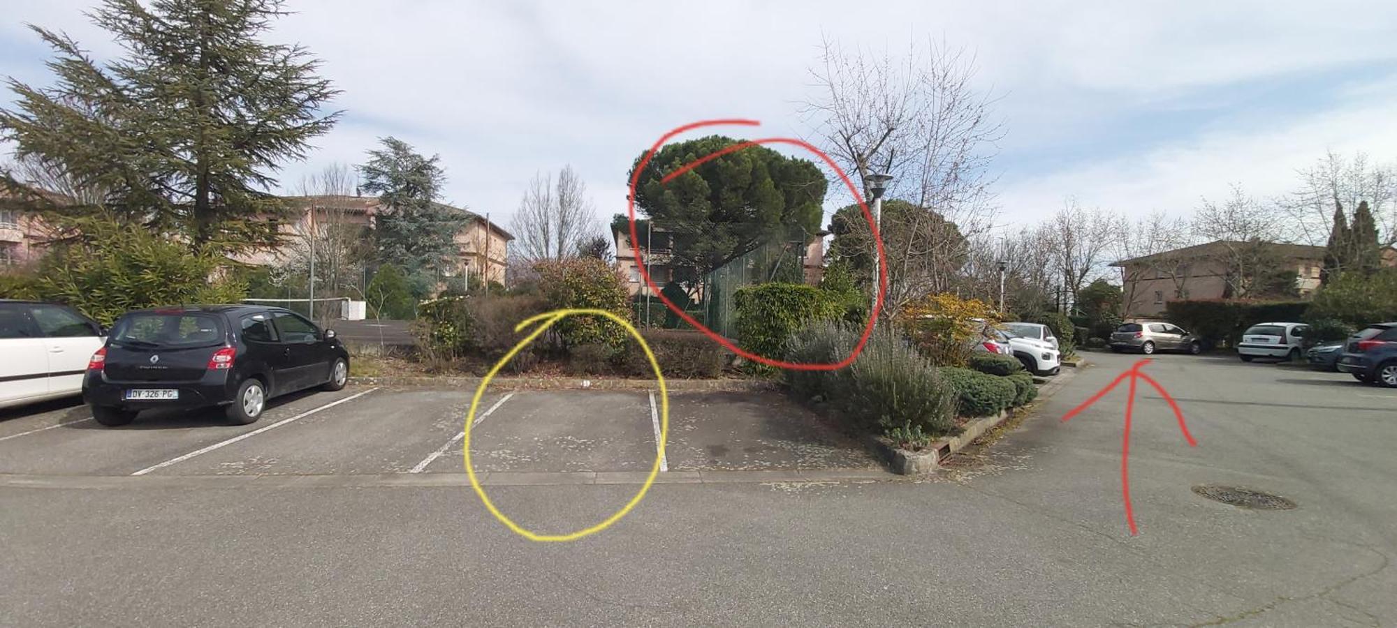 Les Elfes - Avec Entree Autonome, Clim Neuve, Jardin, Parking Prive & Gourmandises Offertes ! - Lejlighed Toulouse Eksteriør billede